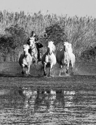 Pierre Constantin 7 Raw Agency Pierre Constantin 07