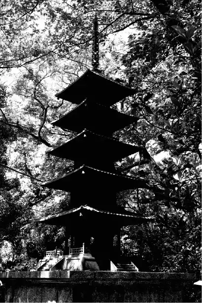 Raw agency projet japon 13