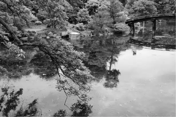 Raw agency projet japon 2