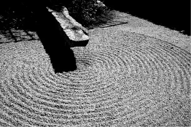 Raw agency projet japon